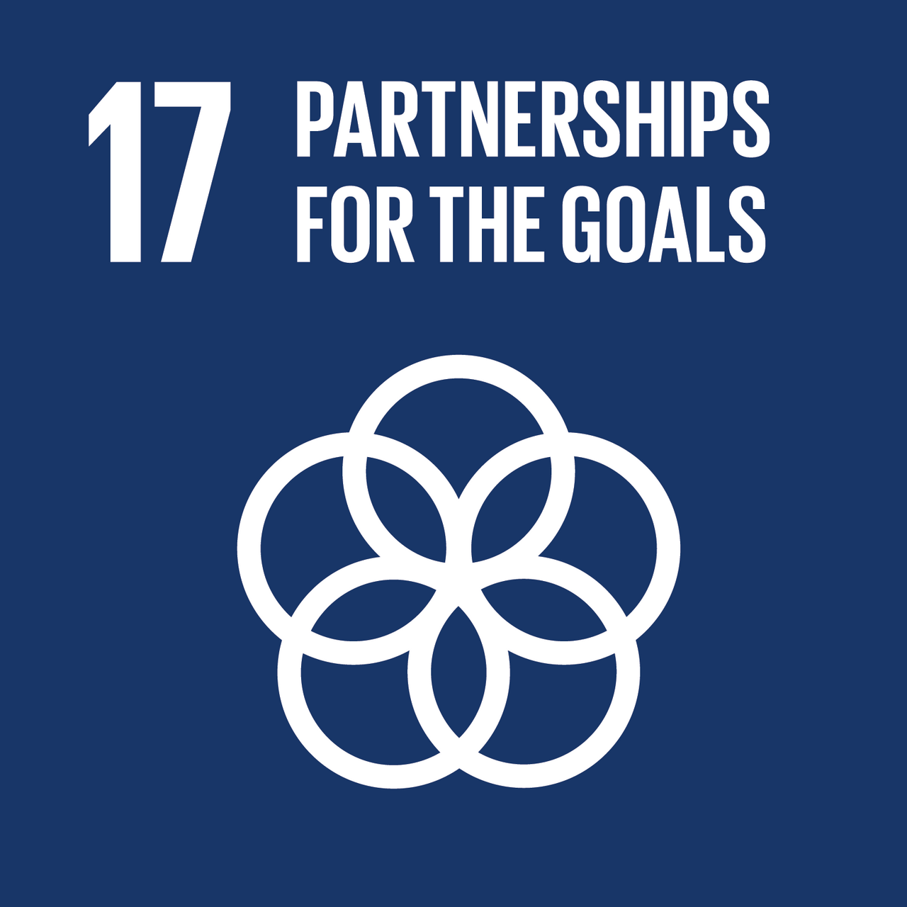 UN Sustainable Development Goal 17: Partnerships for the Goals